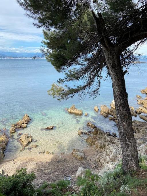 Terrasse En Front De Apartment Antibes